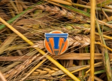 Tomorrowland-pin