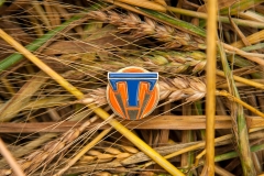 Tomorrowland-pin